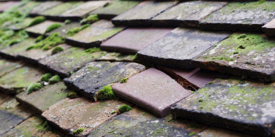 Blackweir roof repair costs